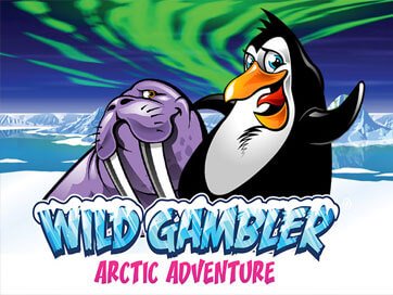 Wild Gambler Arctic Adventure game cover